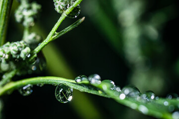 Background selection