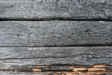 Burnt wood planks, black and white background of burnt boards.