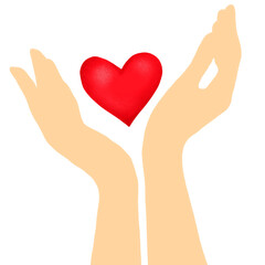 A bright red heart between human palms. The concept of love and support, emotions and feelings of a person.