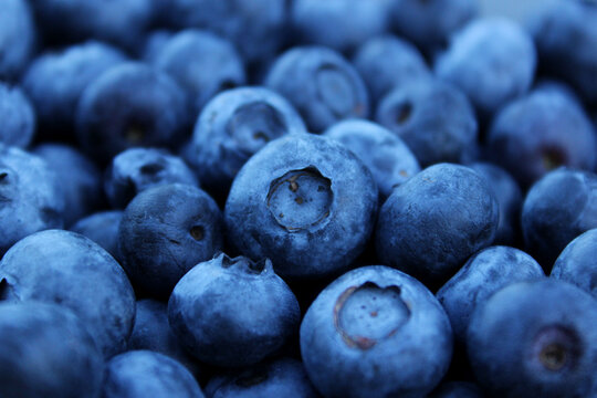 Blurry image of blueberries. Berries background. Abstract food background.