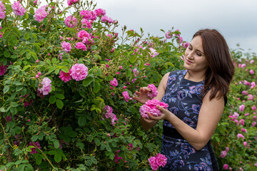 Woman in a Bulgarian pink rose garden