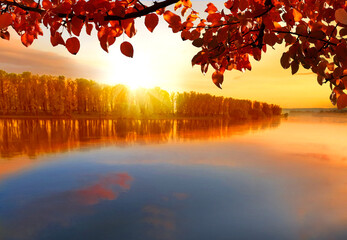 Autumn tree near the river.Natural scenery. Beautiful autumn landscape with yellow trees. Fall...