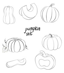 line art pumpkin whole and slices. monochrome pumpkin hand drawn set. harvest vector illustration.