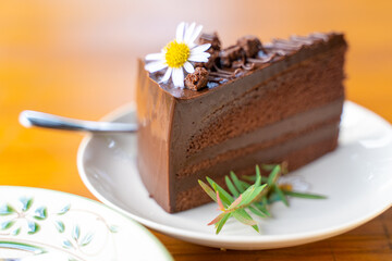 Slice of chocolate cake on a white plate
