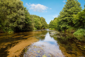 magnificent landscapes of a stream crossing the forest