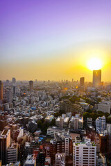 Landscape of tokyo city skyline in Aerial view with skyscraper, modern office building and sunset sky background in Tokyo metropolis, Japan.