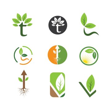 green leaf ecology nature element  vector icon of go green