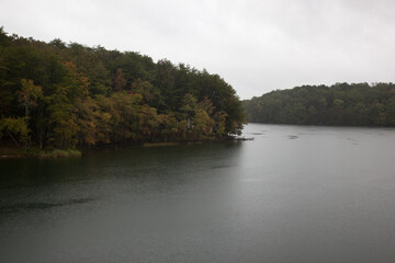 Lake in the morning with trees on the bank