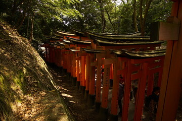TORII, many Japanese religious objects lined in the shrine