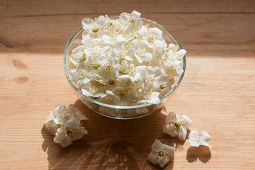 White jasmine flowers in a glass bowl on a wooden background. Collecting herbs and flowers for tea or home cosmetics. Harvesting of jasmine.