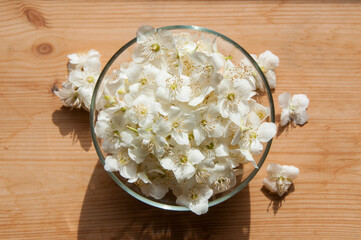 White jasmine flowers in a glass bowl on a wooden background. Collecting herbs and flowers for tea or home cosmetics. Harvesting of jasmine.