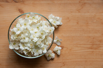 White jasmine flowers in a glass bowl on a wooden background. Collecting herbs and flowers for tea or home cosmetics. Harvesting of jasmine.