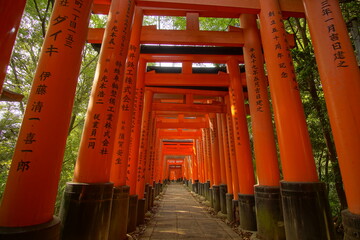 TRII, in  Fushimi Shinto shrine, Kyoto, Japan