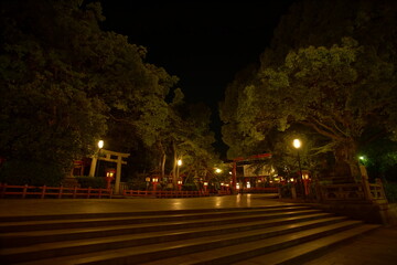 A cityscape of Kyoto at night, Japan