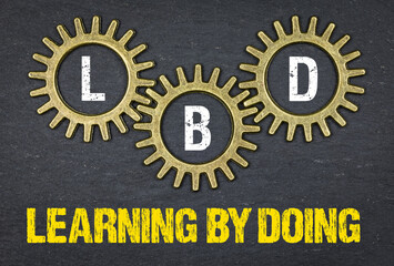LBD learning by doing
