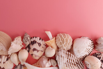 Seashells frame on pink background, top view, copy space. Holiday concept.
