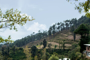 Fototapeta premium Popular Indian hill station destination - Patnitop, jammu