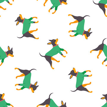 Seamless pattern with russian toy terrier for different design. Background with cute family dog in overalls, with text.