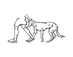 Vector hand drawn illustration of human dragging persian greyhound  dog  isolated. Tattoo artwork. Template for card, poster, banner, print for t-shirt, pin, badge, patch.