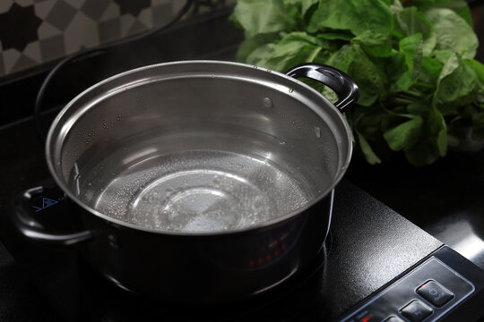 Boiling water in a stainless steel cooking pot, modern lifestyle cooking induction stove kitchen