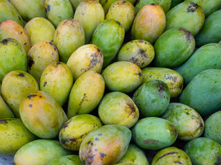Organic thai green and yellow  mangoes sell in the market.