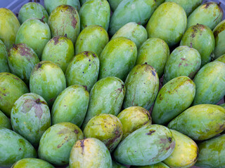 Organic thai green mangoes in the market