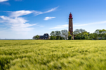 The beautiful Lighthouse Of Flügge On The Isle Of Fehmarn at the Baltic Sea in Germany. Summer in Germany. - obrazy, fototapety, plakaty