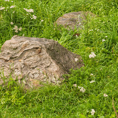 Element of landscape design, rockery in the yard - large natural boulders in the grass
