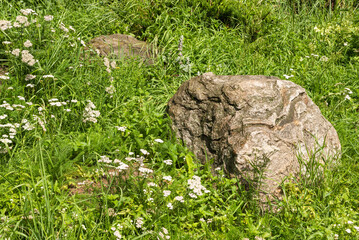 Element of landscape design, rockery in the yard - large natural boulders in the grass