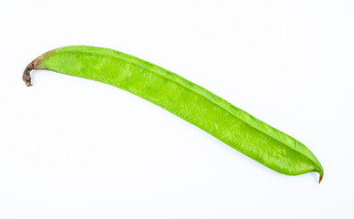 Sword beans with fresh vegetables on white background