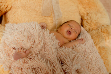 Fototapeta premium Two week old newborn baby sleeping on teddy bear