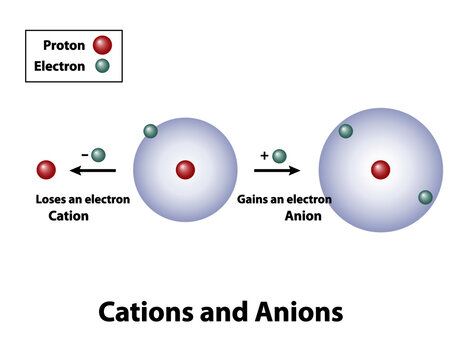 Cations and Anions. Some atoms lose or gain electrons to become stable charged particles called ions.
