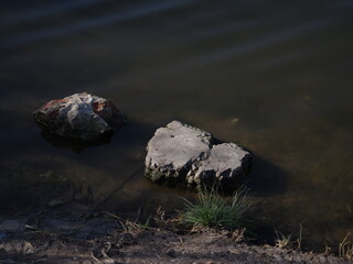 river and stones