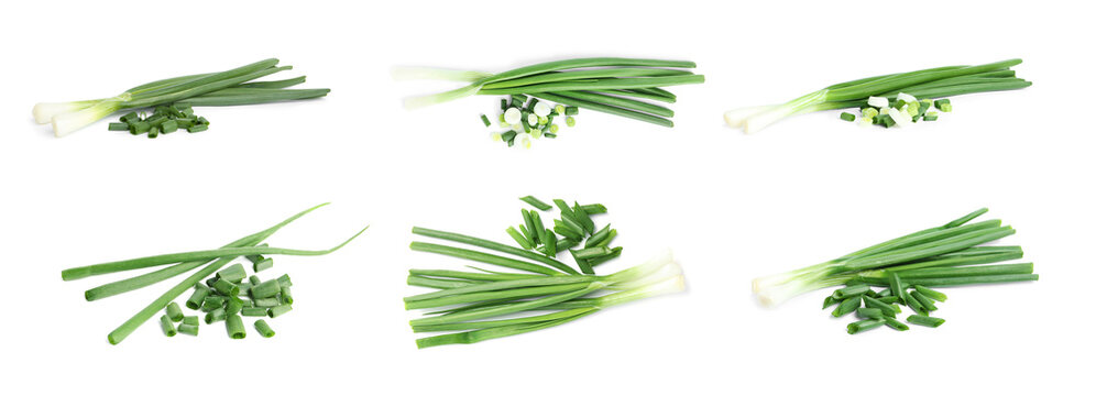 Set of cut green onions on white background. Banner design