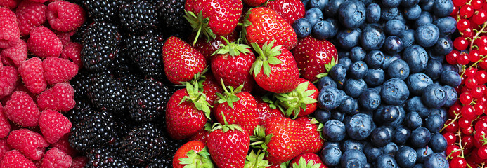 Mix of different fresh berries as background, banner design