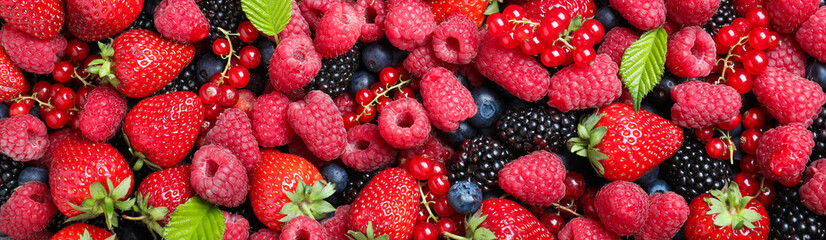 Mix of different fresh berries as background, banner design