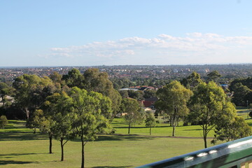 Trees park skyline suburban Sydney Australia