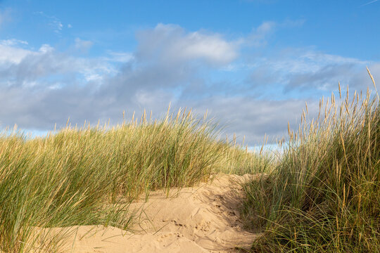 Sand Dunes At Formby In Merseyside