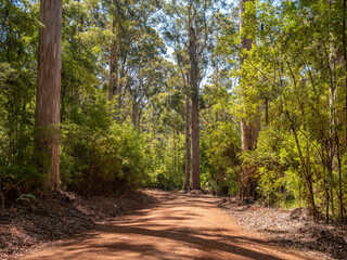 Road in Western Australia
