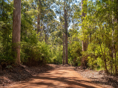 Road in Western Australia