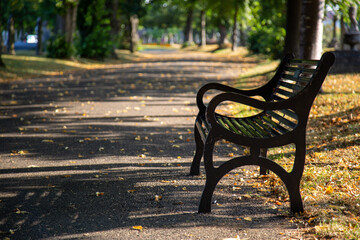 an empty metal memorial bench in a park in late summer