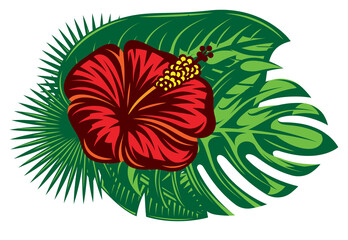Composition of hibiscus flower and various palm leaves. Vector color illustration isolated on white background