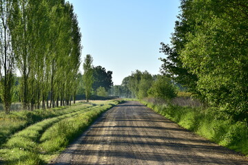 Fototapeta na wymiar droga#krajobraz#zieleń#