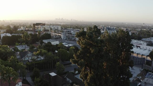 Slowly flying through a group of trees in West Hollywood Los Angles overlooking downtown LA at dusk