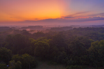 sunset in the forest