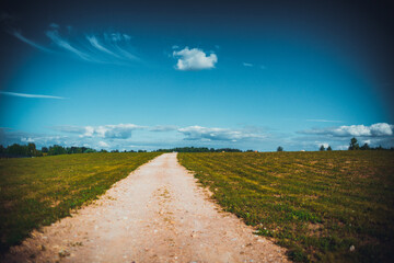 A rocky road through a green meadow under a blue sky