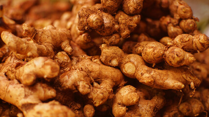 Fresh organic ginger in the market of Cirebon, Indonesia