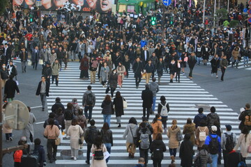 Shibuya cityview