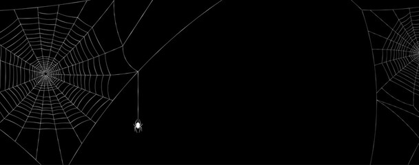 White spiderweb with spider on black background.