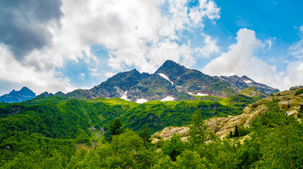 Beautiful mountain landscape in wooded area in summertime. Mighty mountains with snow and green array in cloudy weather.